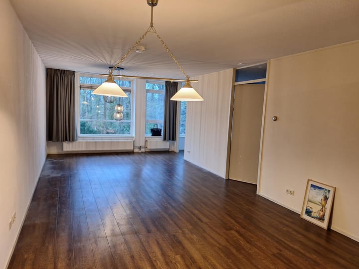 Foto 3 van Bloemendalsweg 3-F20