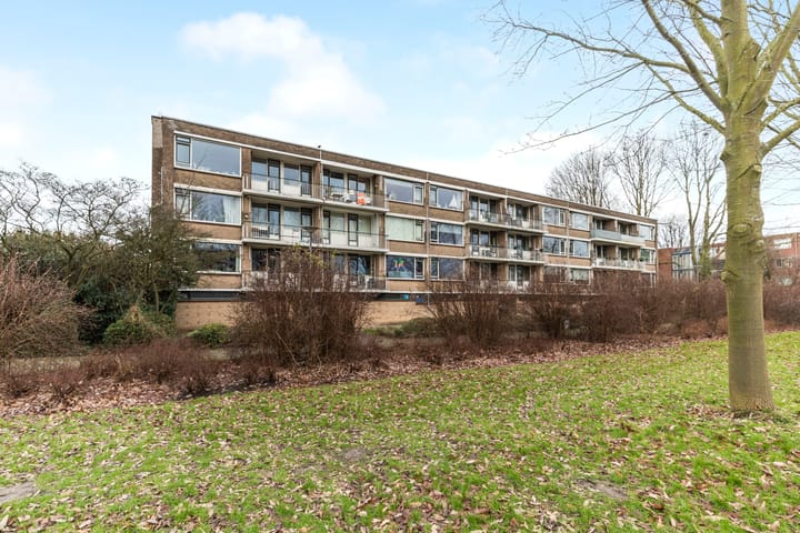 Foto 29 van Nieuwenoord 82