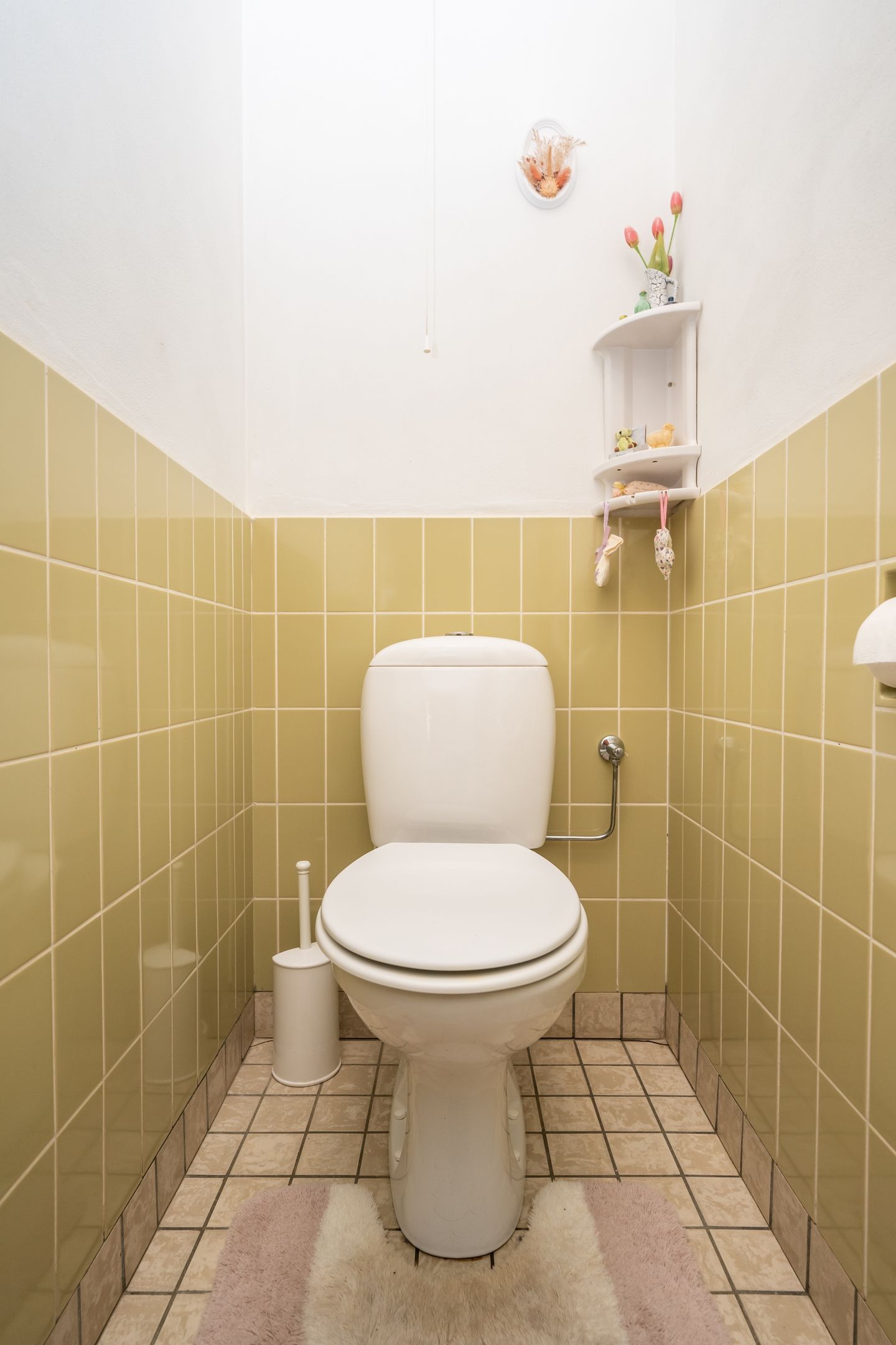 Foto 19 van Strijbosstraat 5