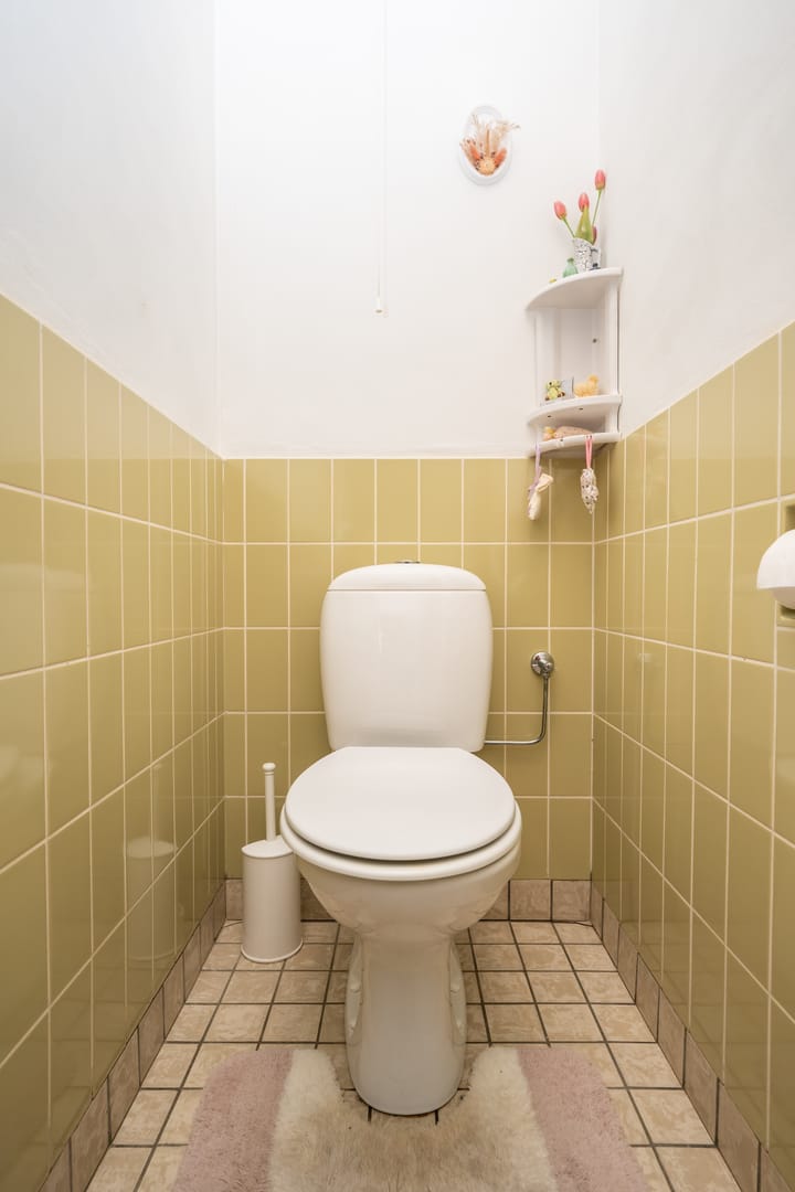 Foto 19 van Strijbosstraat 5