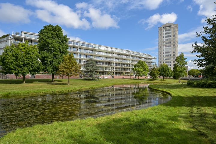 Photo 16 of Burgemeester De Monchyplein 208