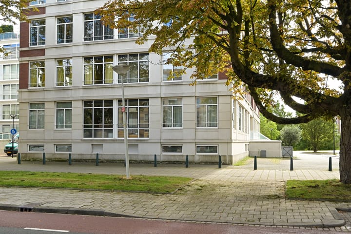 Photo 24 of Burgemeester De Monchyplein 208