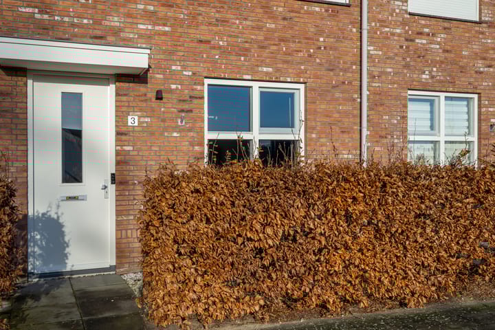 Foto 13 van Max Euwesingel 3