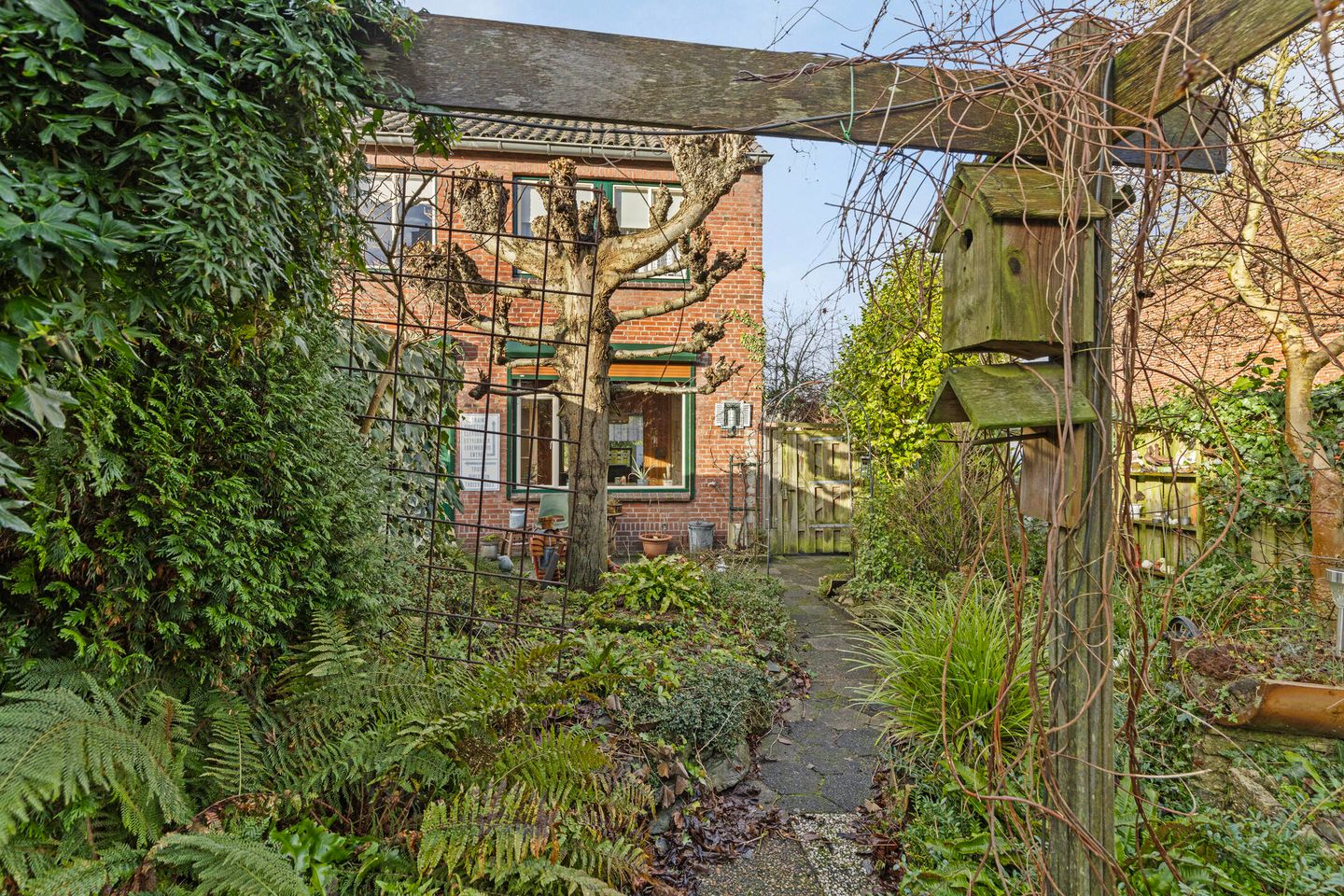 Foto 25 van Begoniastraat 59