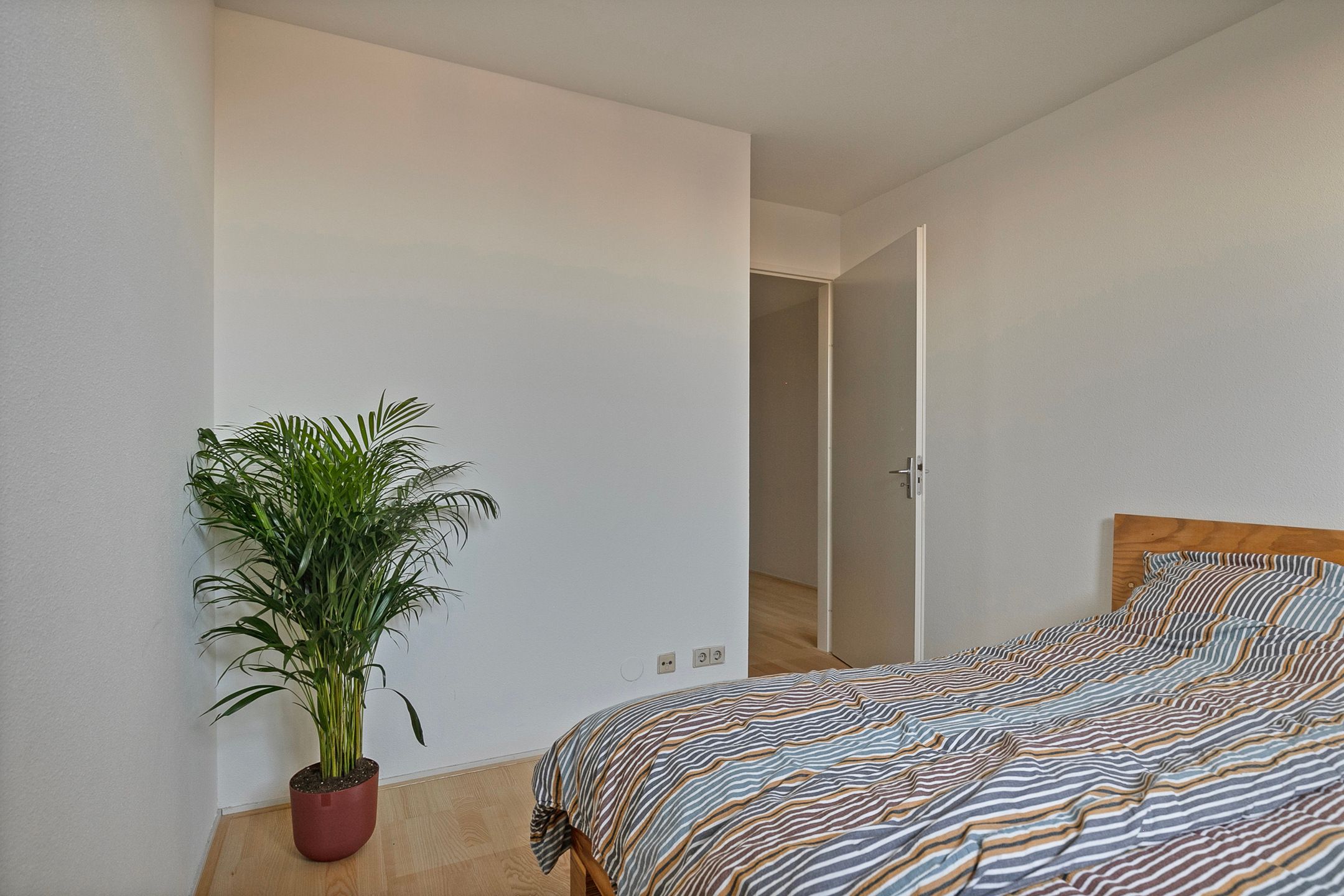 Foto 9 van Oostplantsoen 103