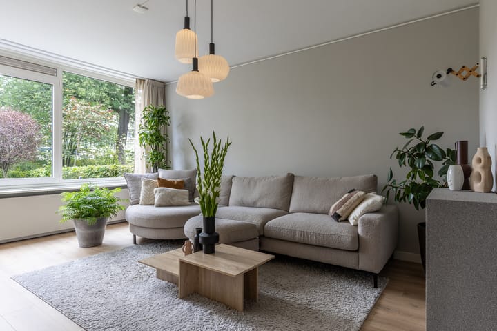 Foto 5 van Sneekpad 20