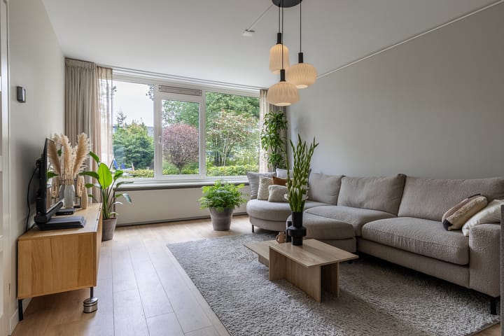 Foto 6 van Sneekpad 20