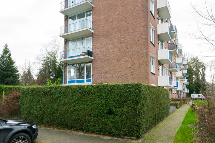 Foto 13 van van Hogendorplaan 46-B