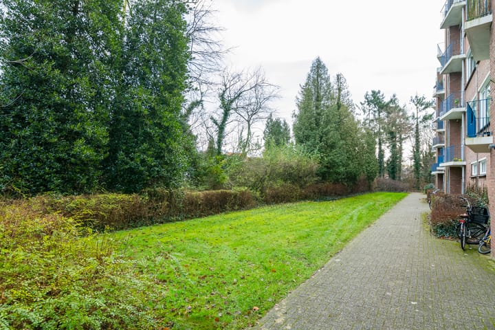 Foto 15 van van Hogendorplaan 46-B