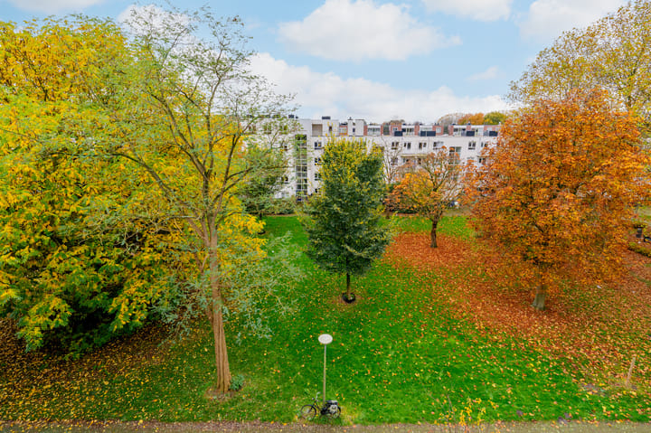 Foto 32 van Dantestraat 110