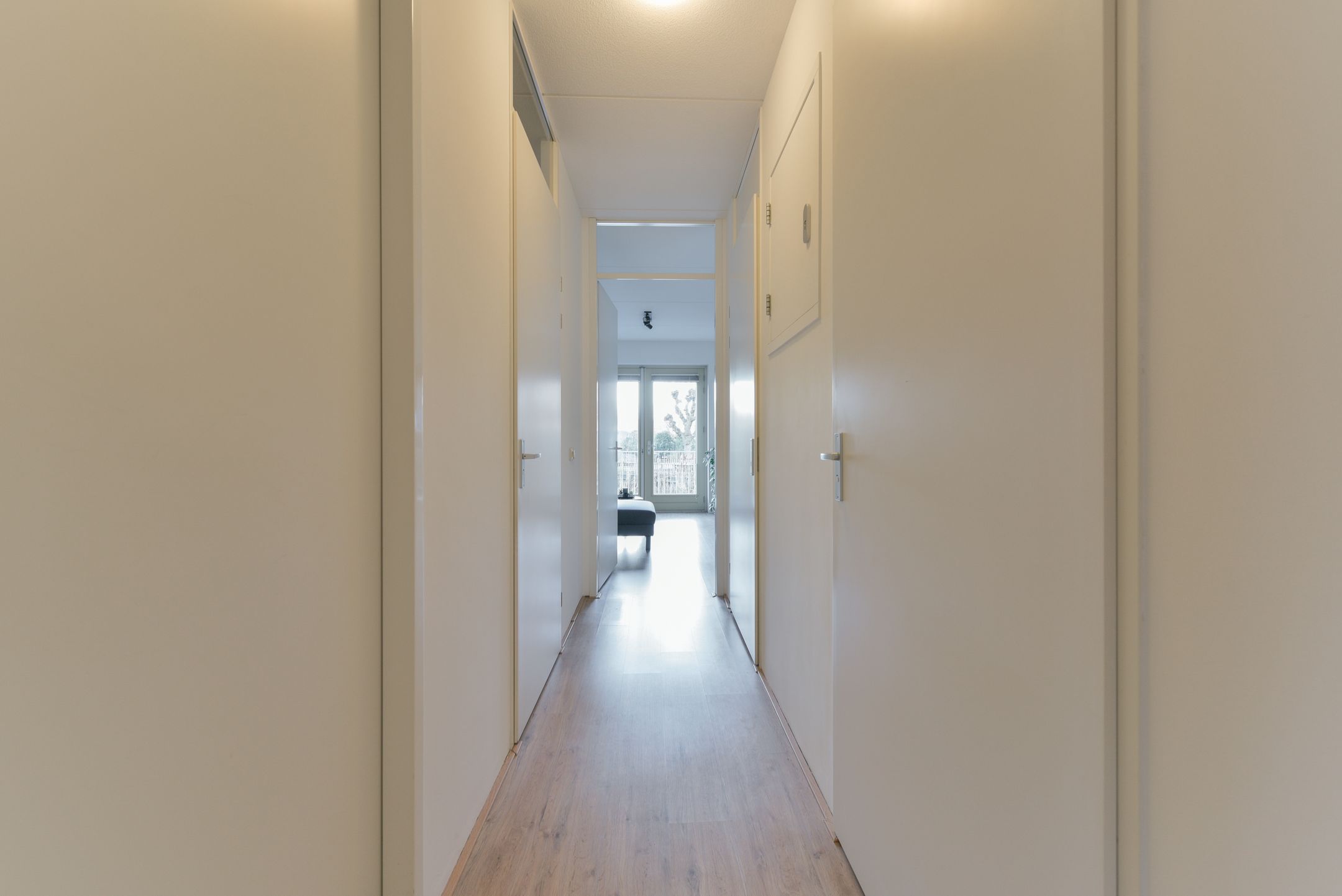 Photo 6 of Fossa Italica 141