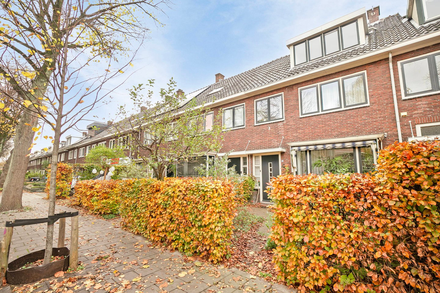 Bekijk foto 2 van Frans Halsstraat 36