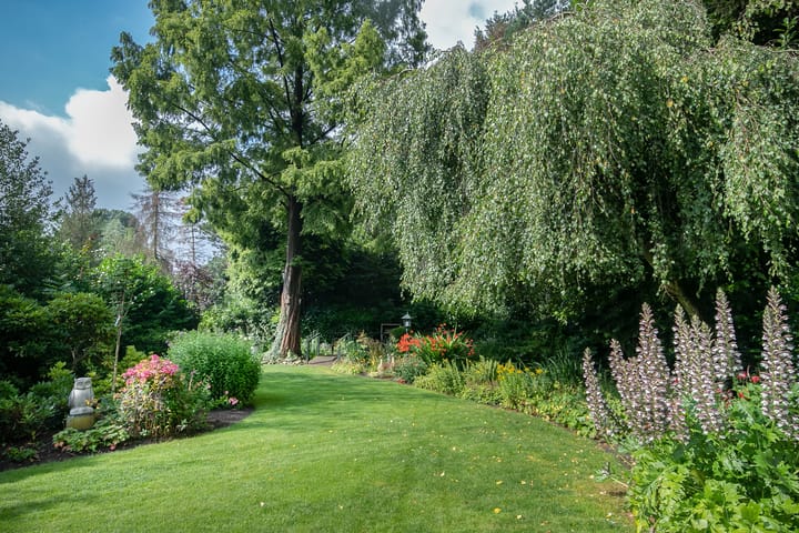 Foto 44 van Oosterwijk WZ 49