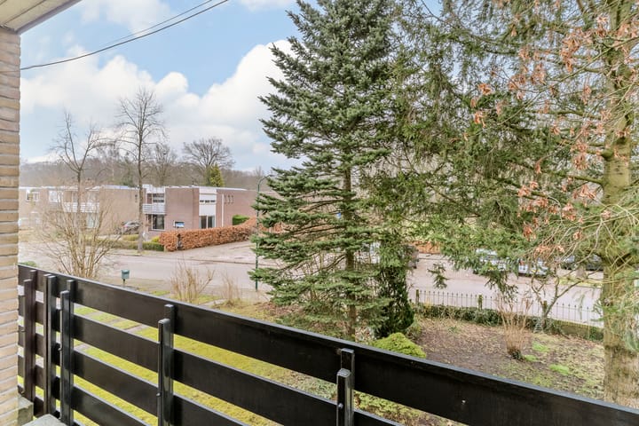 Foto 47 van Willemstraat 23