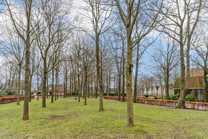 Foto 70 van Willemstraat 23