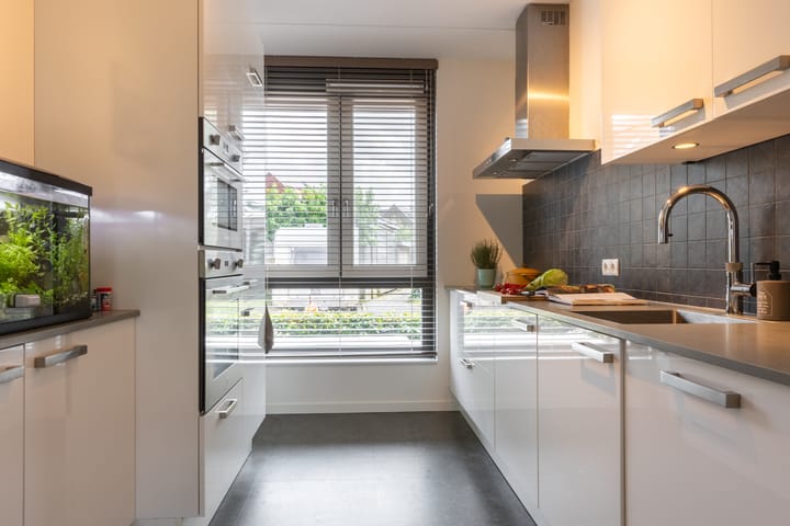 Foto 20 van Kolibrie 28