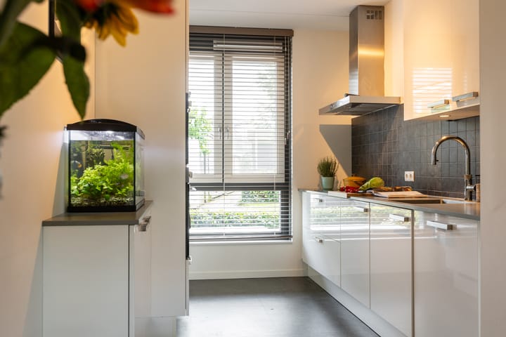 Foto 23 van Kolibrie 28