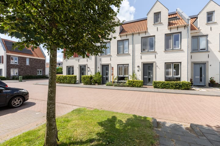 Foto 57 van Kolibrie 28