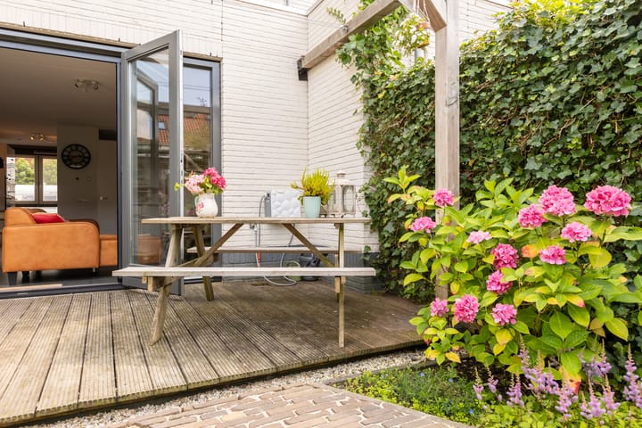 Foto 53 van Kolibrie 28