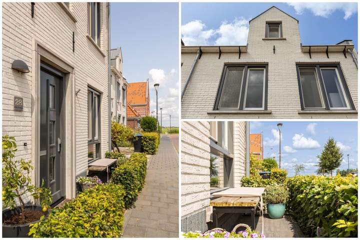 Foto 64 van Kolibrie 28