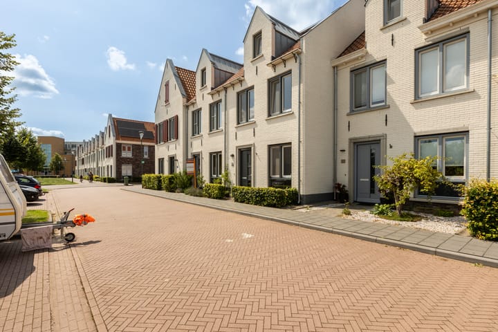 Foto 59 van Kolibrie 28