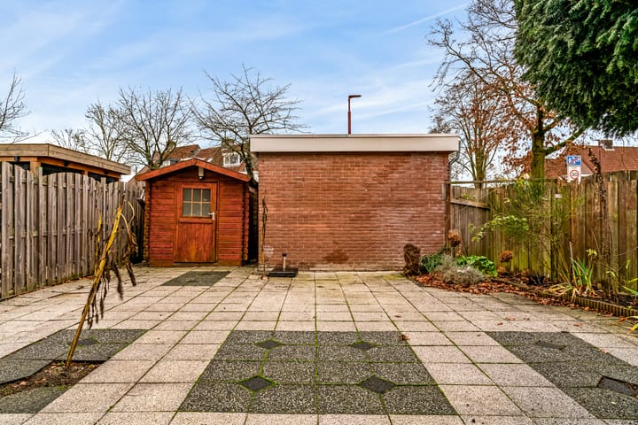 Foto 14 van Zeearend 91