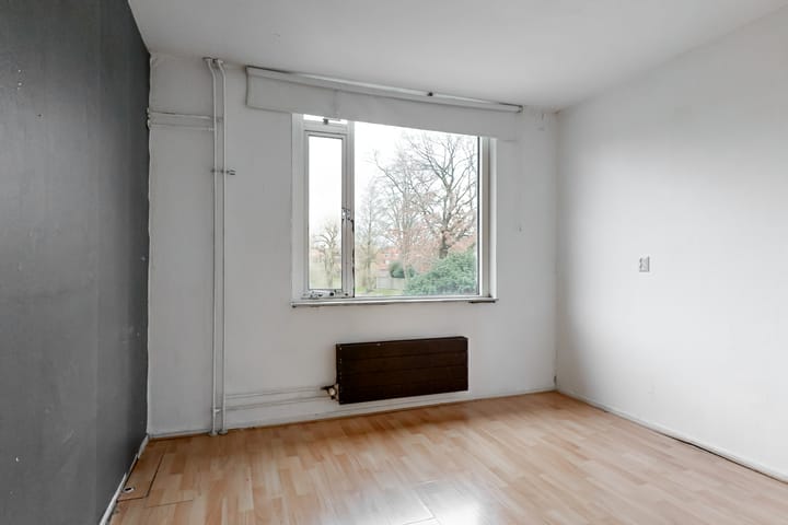 Foto 25 van Zeearend 91