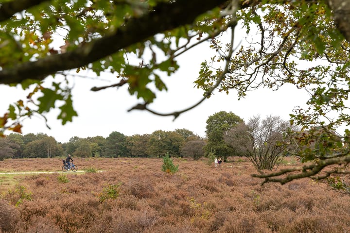 Photo 32 of Kamerlingh Onnesweg 274