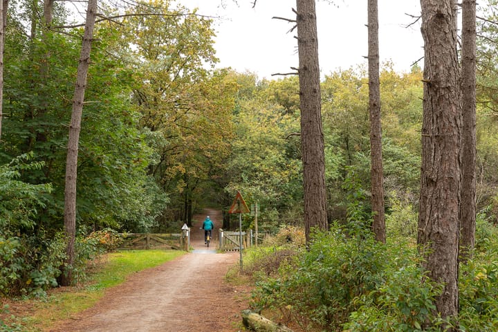 Photo 33 of Kamerlingh Onnesweg 274