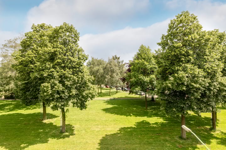 Foto 19 van Boeimeerlaan 64-B