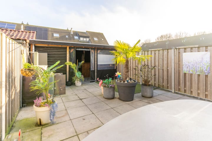 Photo 11 of Kluut 45