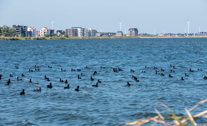 Foto 39 van Kaapsduin 30