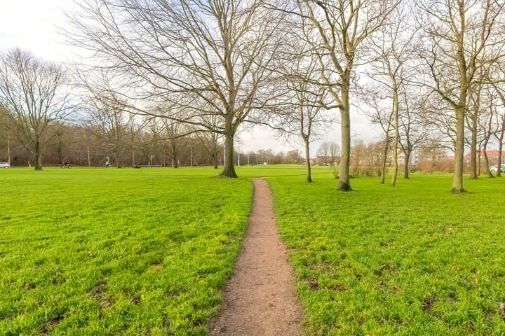 Foto 6 van Van Ostadestraat 81