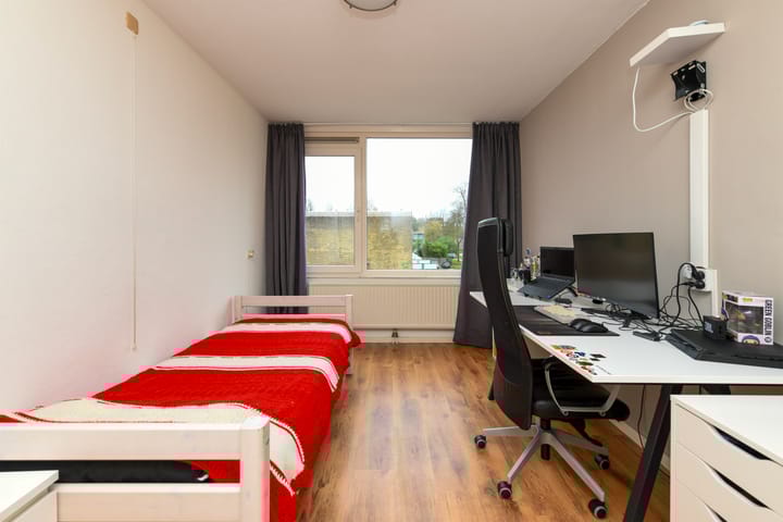 Foto 19 van Ereprijsstraat 197