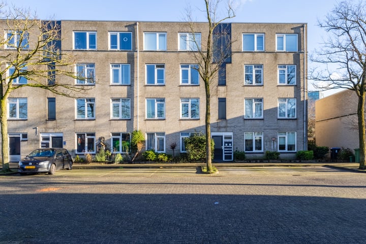 Ridderspoor 114