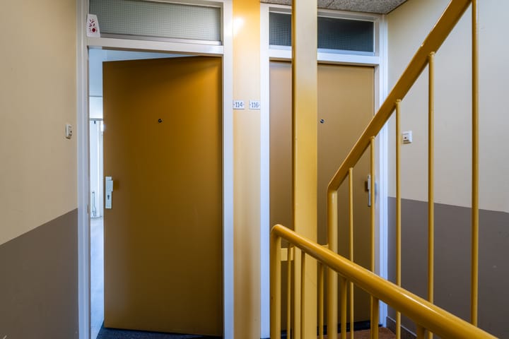 Foto 3 van Ridderspoor 114