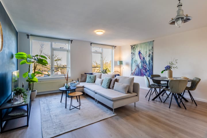 Foto 4 van Ridderspoor 114