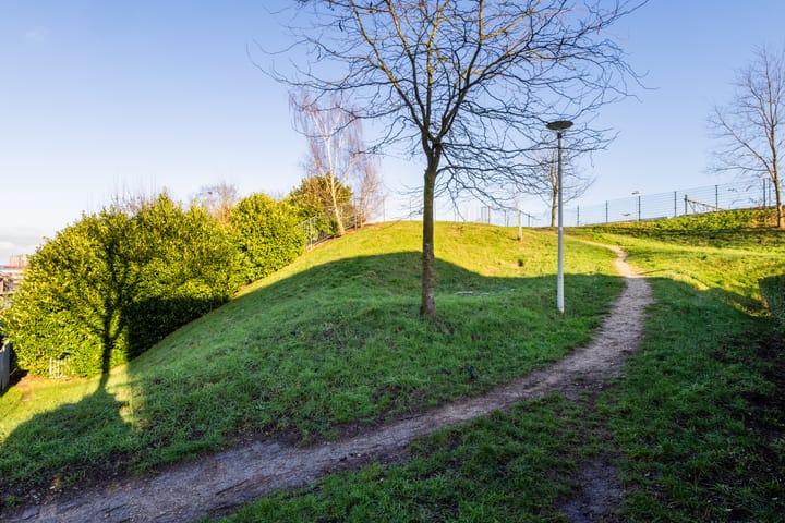 Foto 31 van Ridderspoor 114