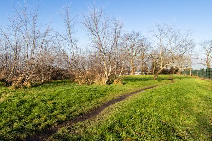 Foto 32 van Ridderspoor 114