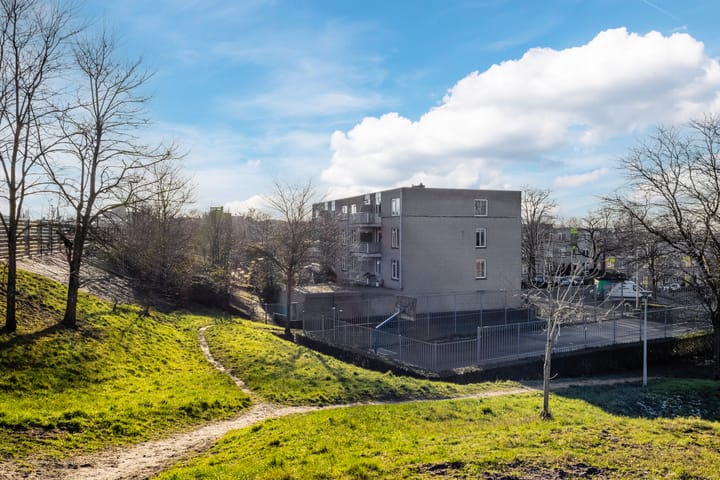 Foto 33 van Ridderspoor 114