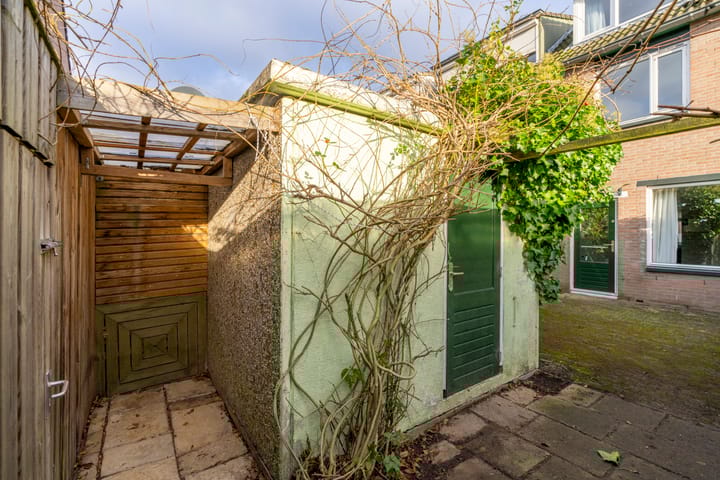 Foto 17 van Filipijnen 57