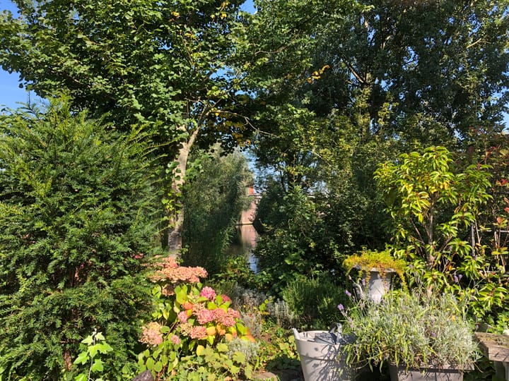 Foto 26 van Adriaan Stooplaan 31