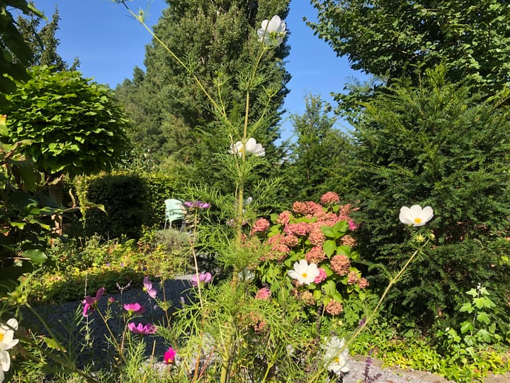 Foto 27 van Adriaan Stooplaan 31