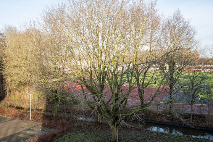 Foto 20 van Bosweg 54