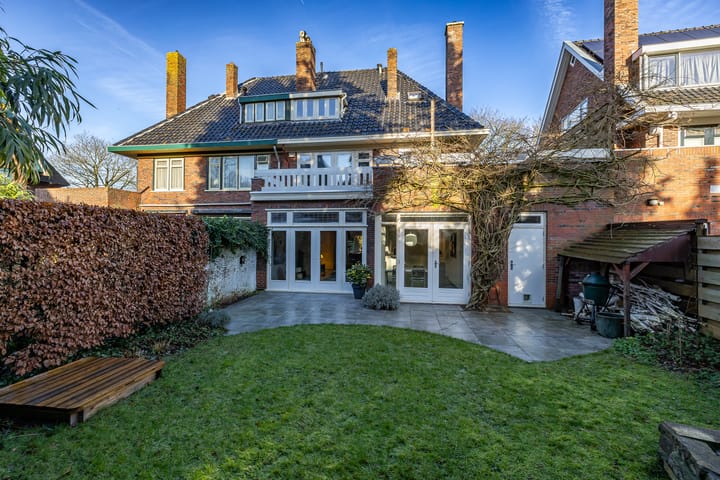 Foto 21 van Goeman Borgesiuslaan 3