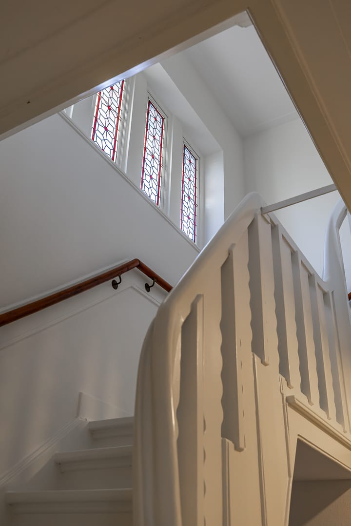 Foto 22 van Goeman Borgesiuslaan 3