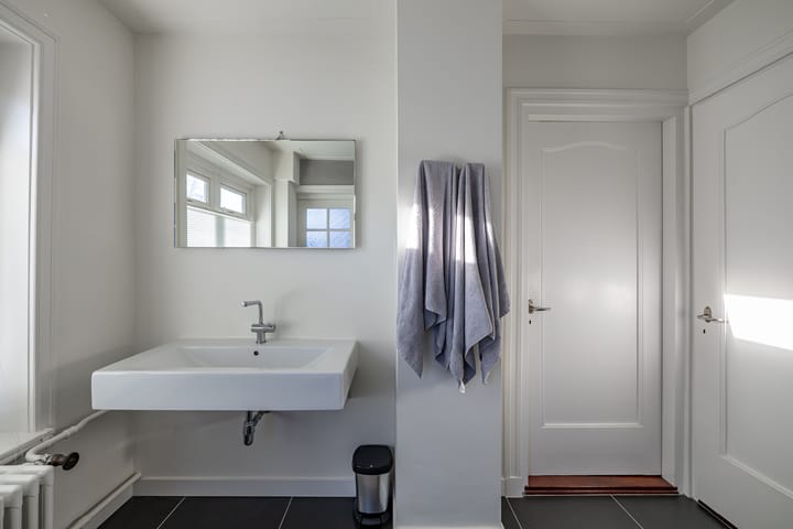 Foto 30 van Goeman Borgesiuslaan 3