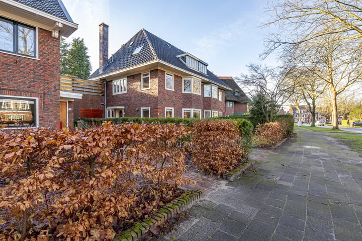 Foto 42 van Goeman Borgesiuslaan 3