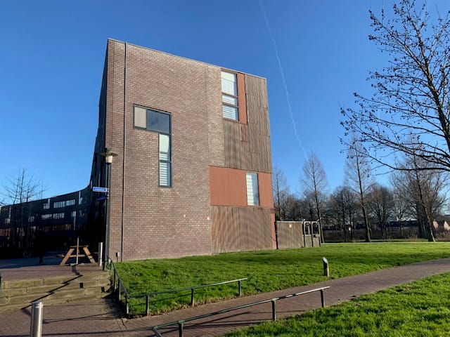 Foto 10 van Kokardebloem 83