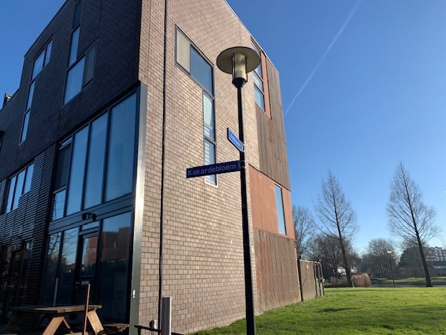 Foto 52 van Kokardebloem 83